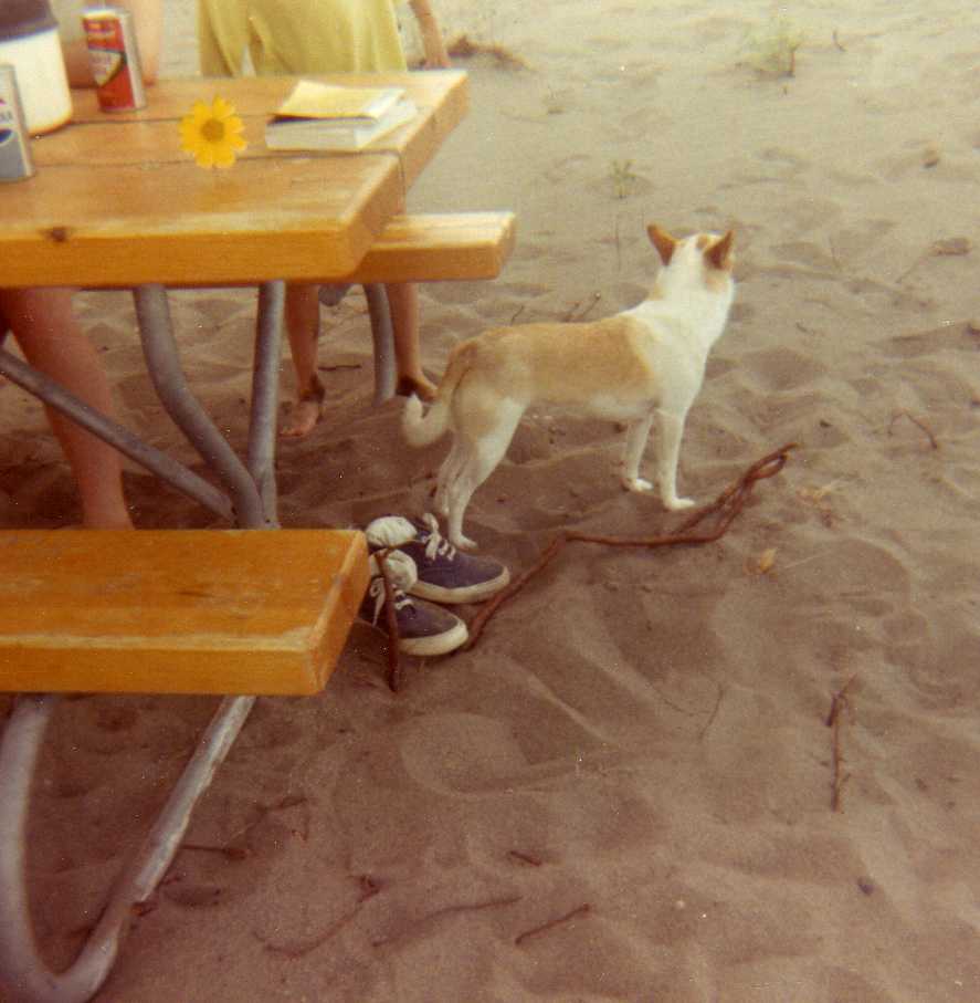 Image 33